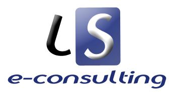 Laurent Strubbe – Consultant e-business – LS e-consulting