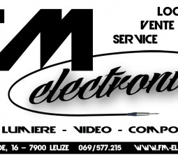 FM electronics: logo