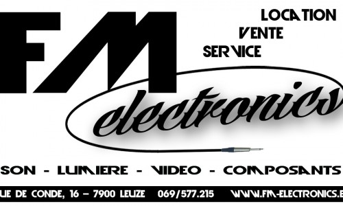 FM electronics: logo