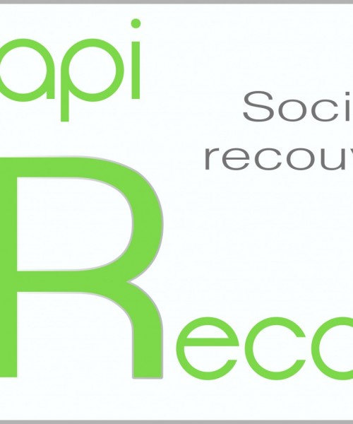 Wapi Recovery : création du logo