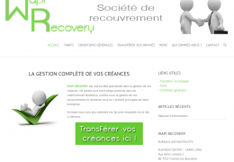 Wapi Recovery: Création site web