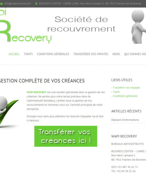 Wapi Recovery: Création site web