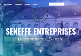 Seneffe Entreprises