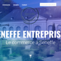 Seneffe Entreprises